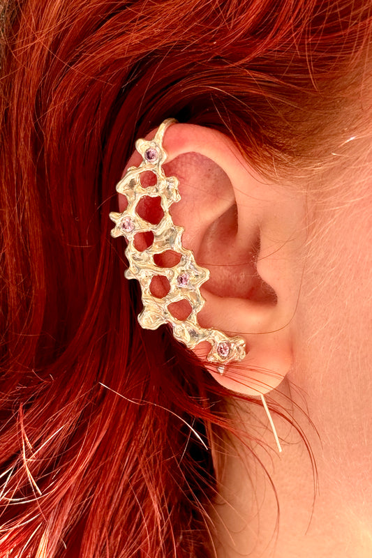 Bijoux d'oreille 1